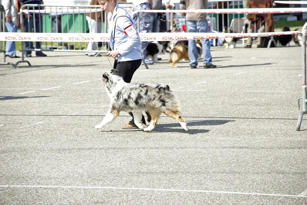 Agen_2008_003.JPG