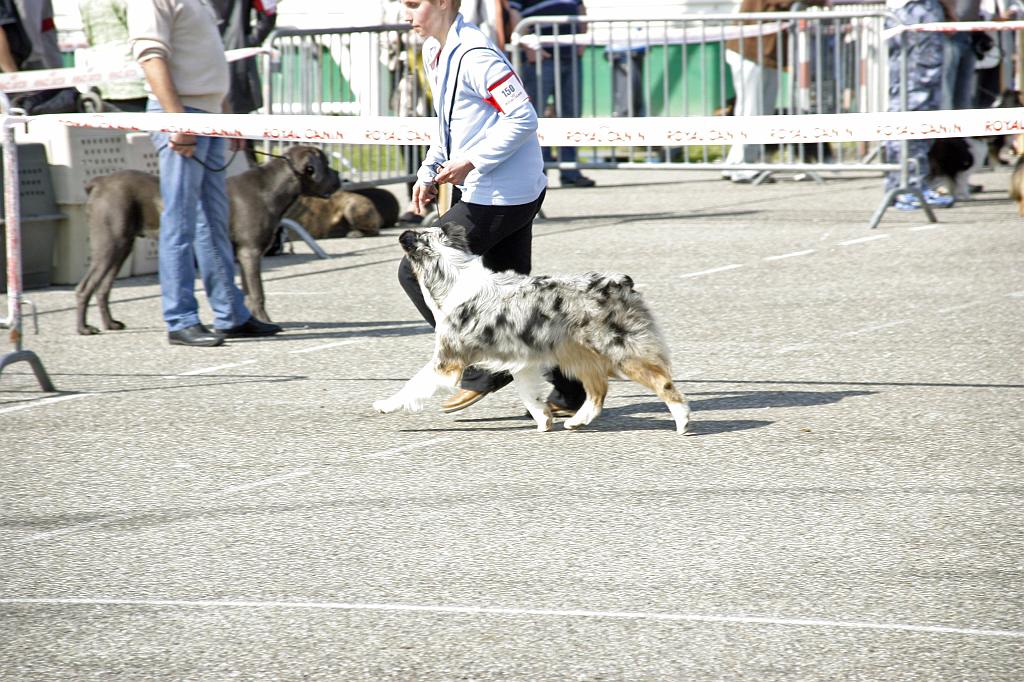 Agen_2008_004.JPG