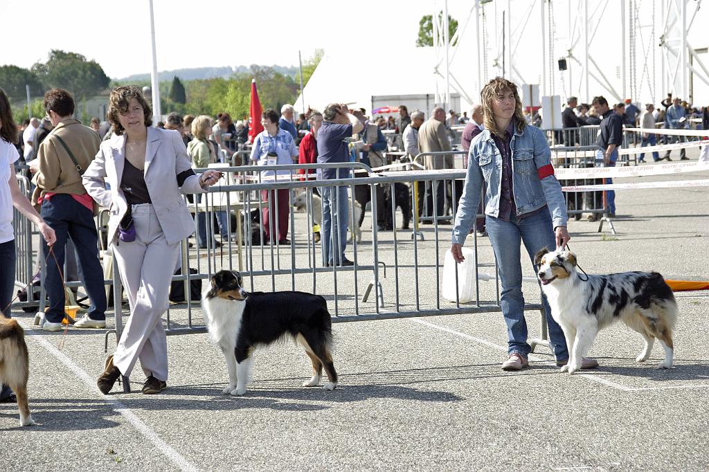 Agen_2008_013.JPG