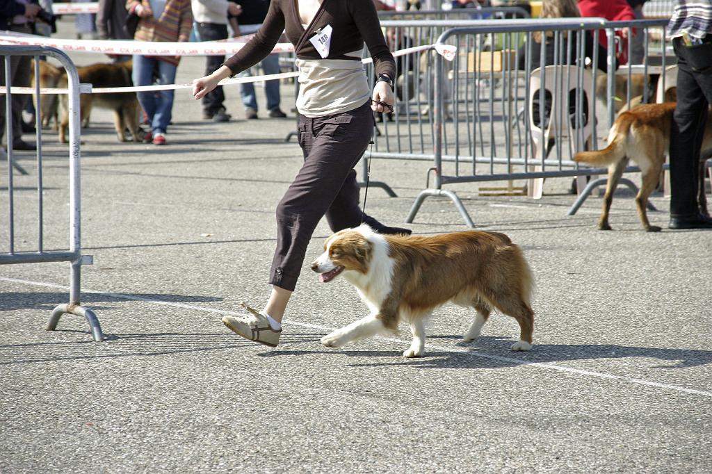 Agen_2008_014.JPG