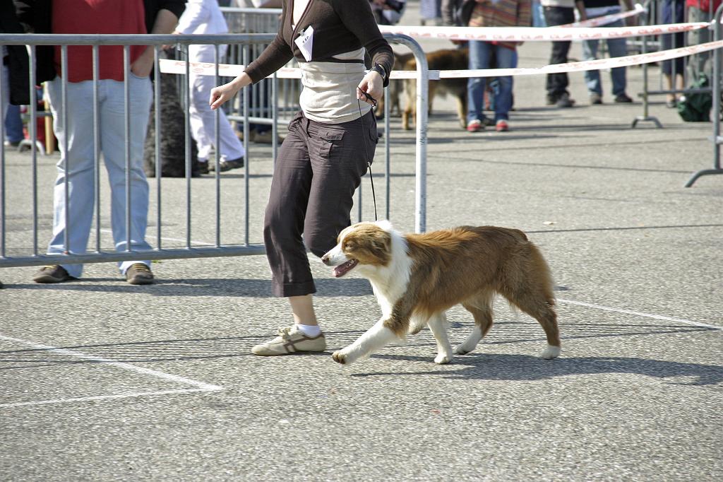 Agen_2008_015.JPG