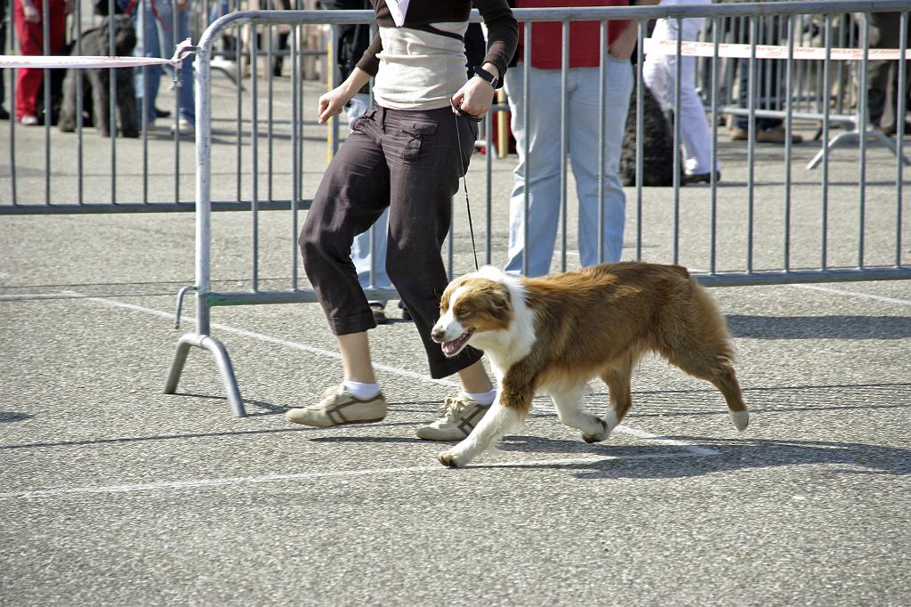 Agen_2008_016.JPG