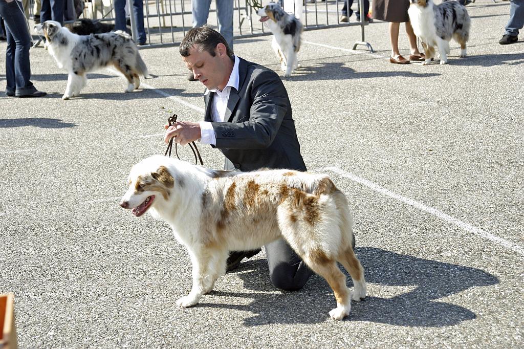 Agen_2008_032.JPG