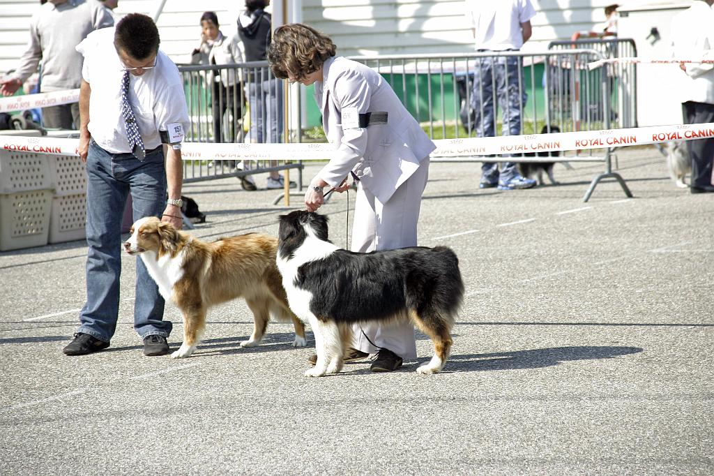 Agen_2008_034.JPG