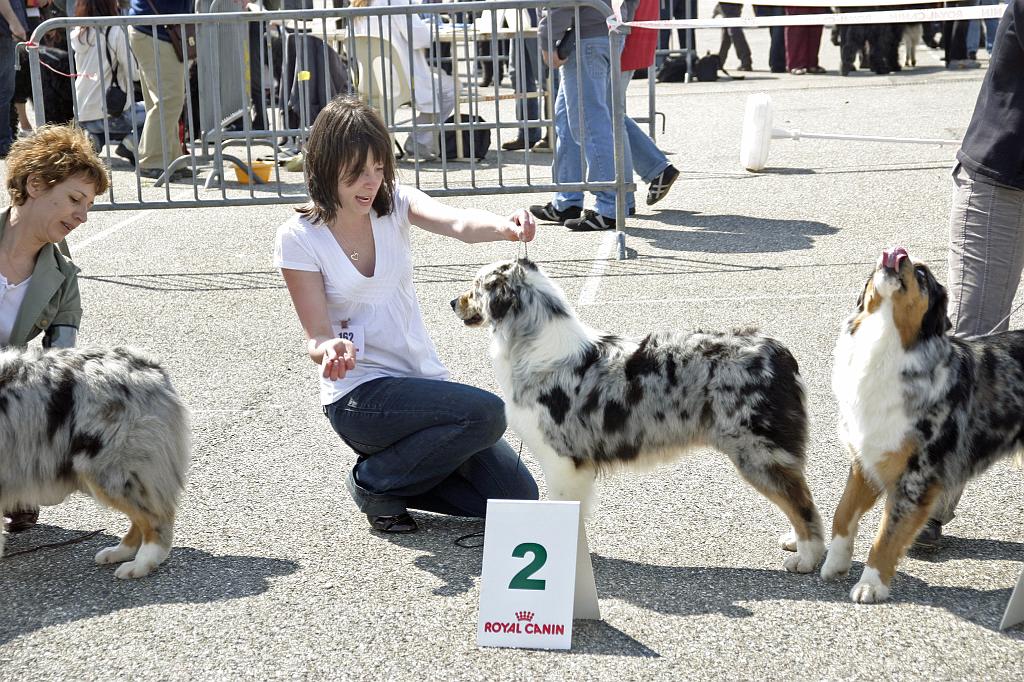 Agen_2008_050.JPG