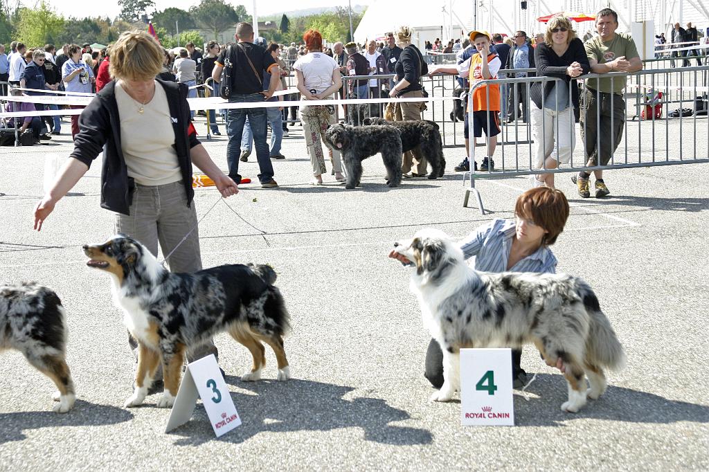 Agen_2008_052.JPG