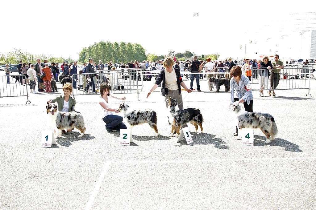 Agen_2008_054.JPG