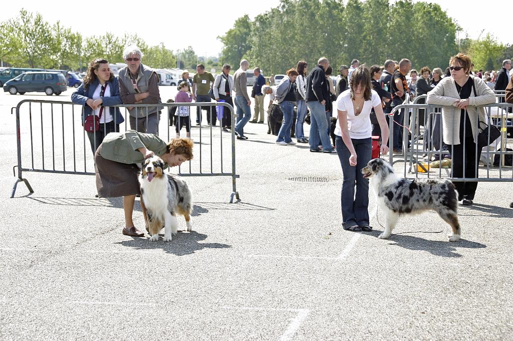 Agen_2008_060.JPG