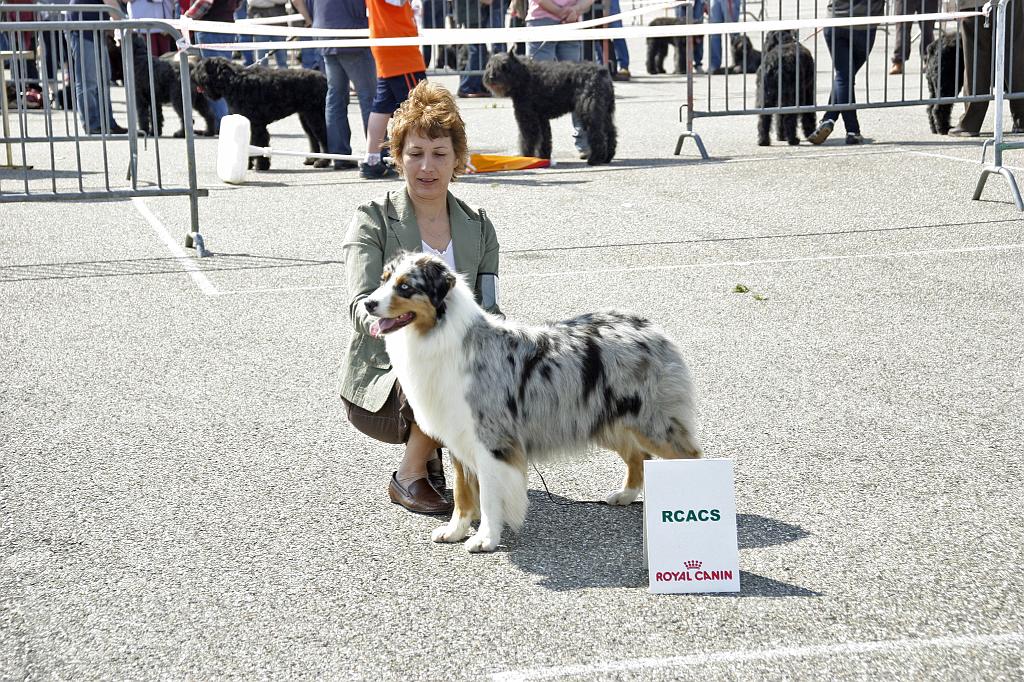 Agen_2008_068.JPG