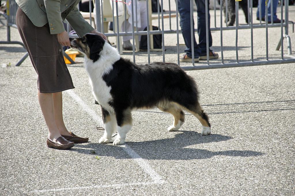 Agen_2008_077.JPG
