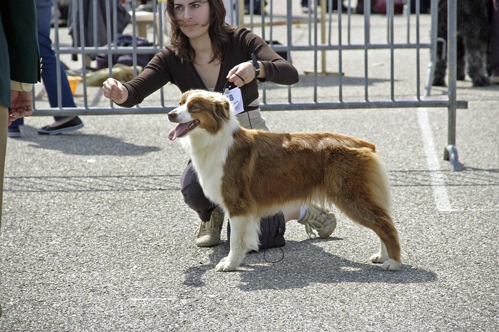 Agen_2008_099.JPG