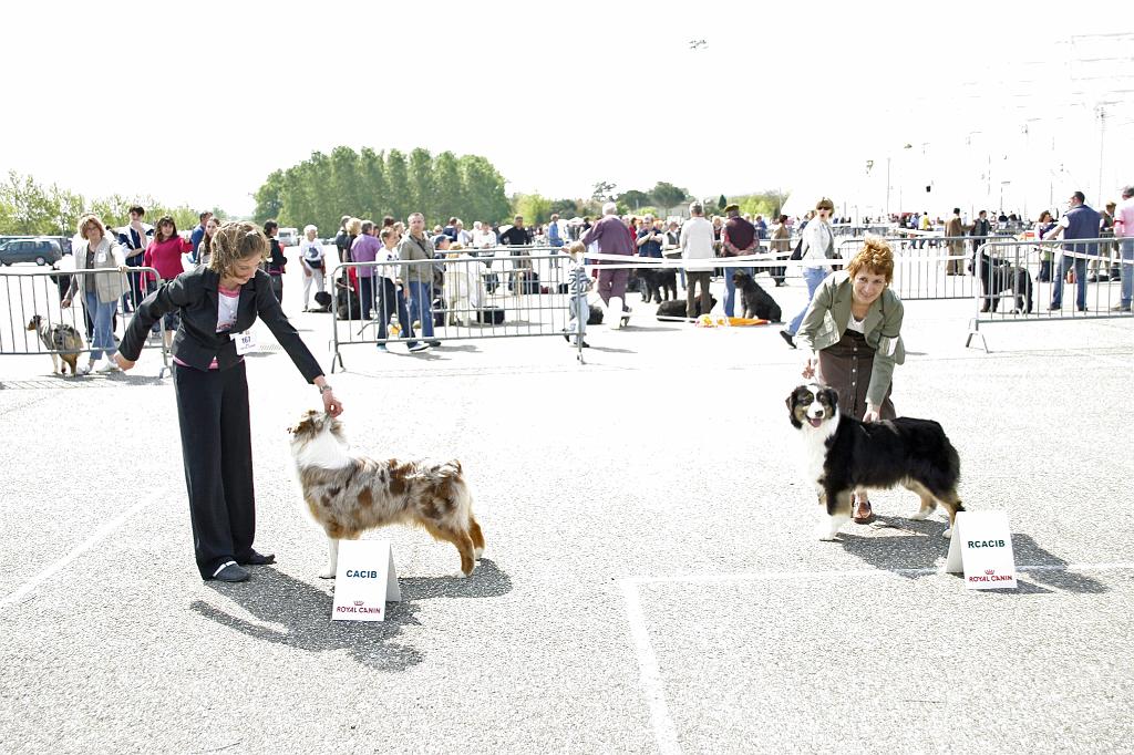 Agen_2008_105.JPG