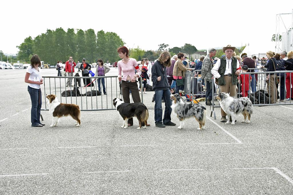 Agen_2008_116.JPG