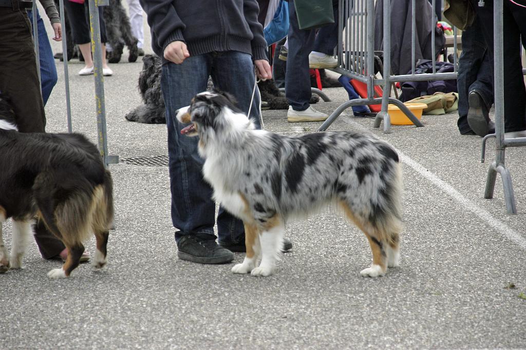 Agen_2008_119.JPG