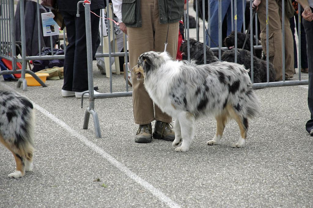 Agen_2008_120.JPG