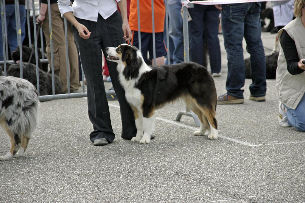 Agen_2008_121.JPG