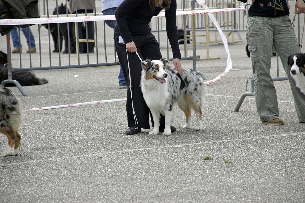 Agen_2008_123.JPG
