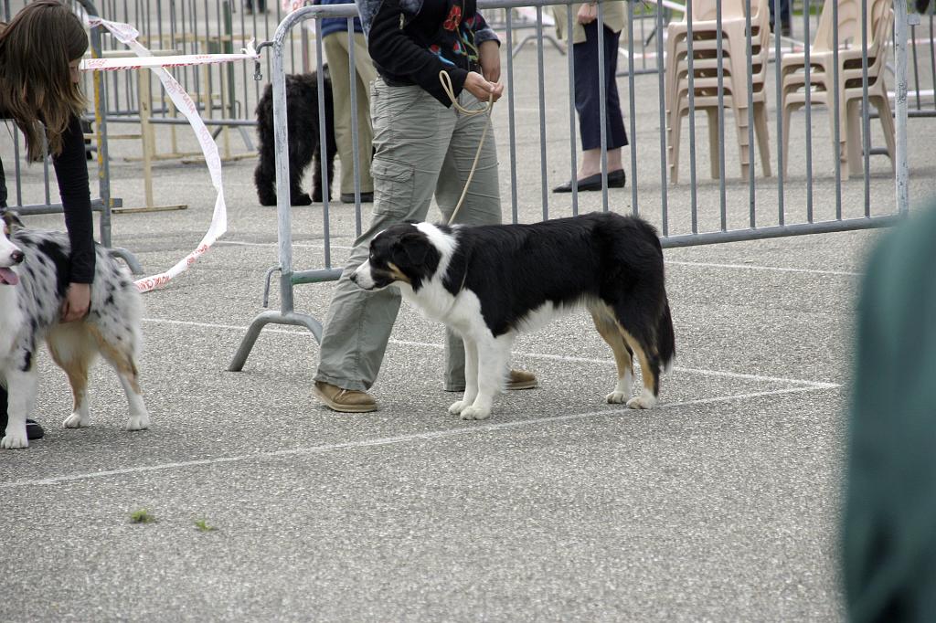 Agen_2008_124.JPG