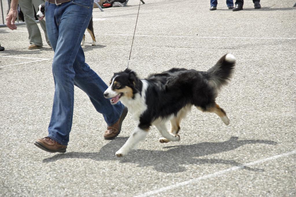 Agen_2008_141.JPG