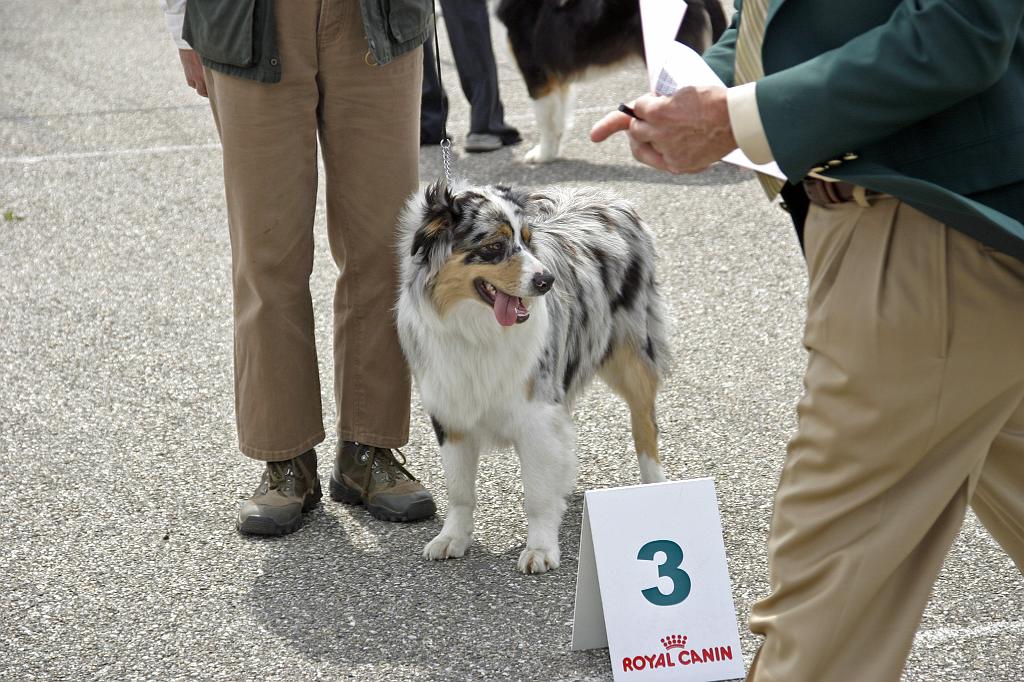 Agen_2008_153.JPG