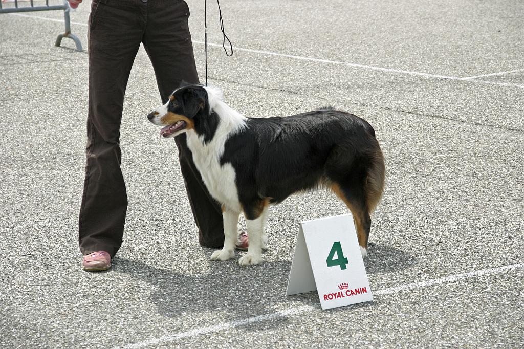 Agen_2008_156.JPG