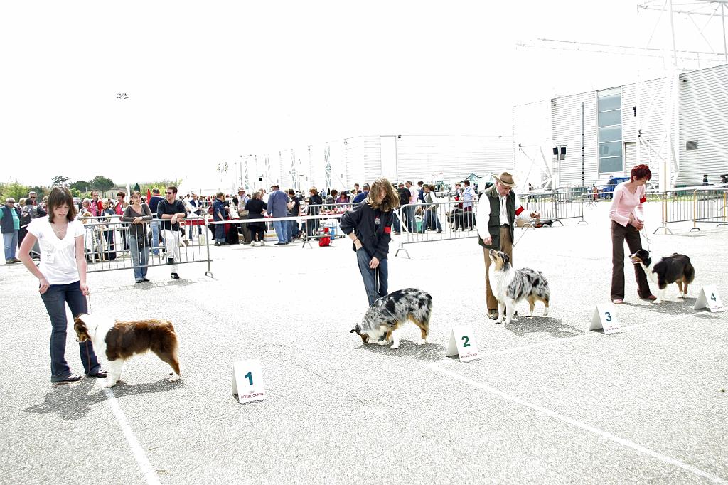 Agen_2008_160.JPG