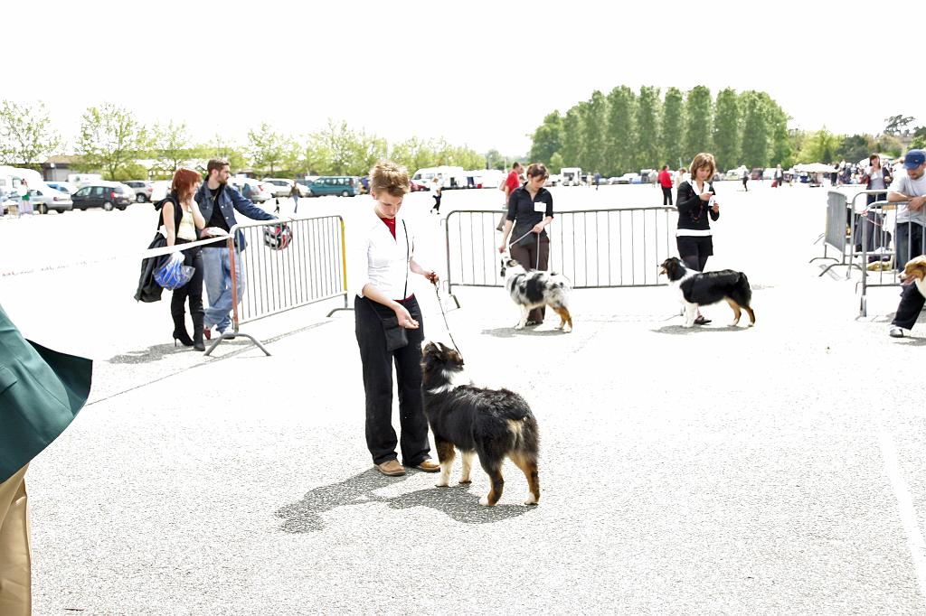 Agen_2008_174.JPG