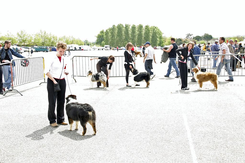 Agen_2008_178.JPG