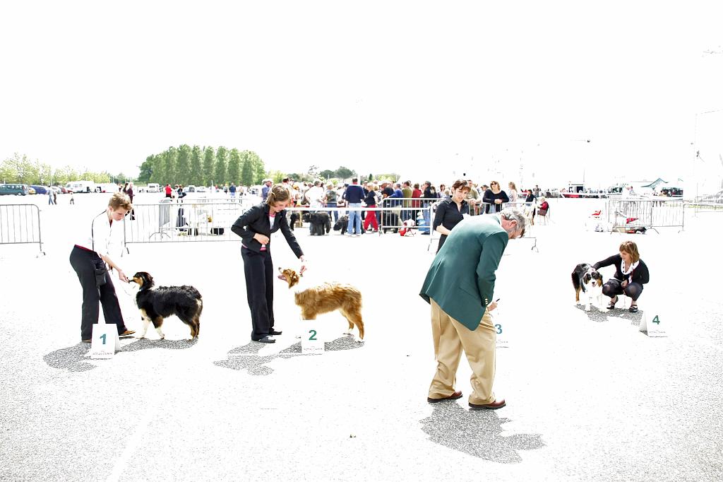 Agen_2008_180.JPG