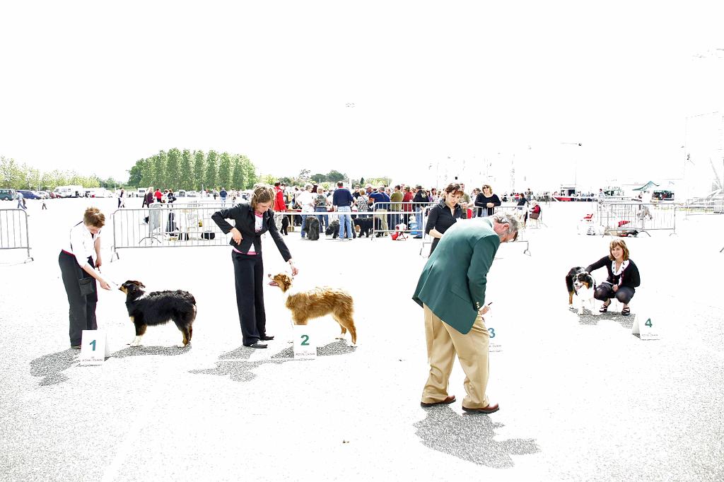 Agen_2008_181.JPG