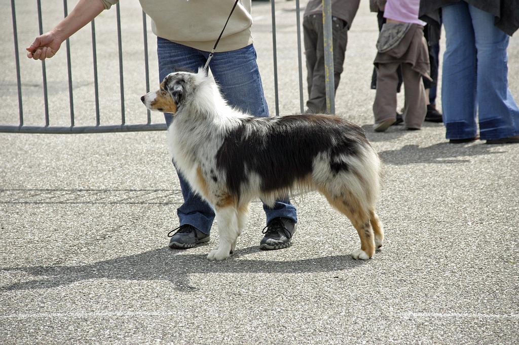 Agen_2008_204.JPG