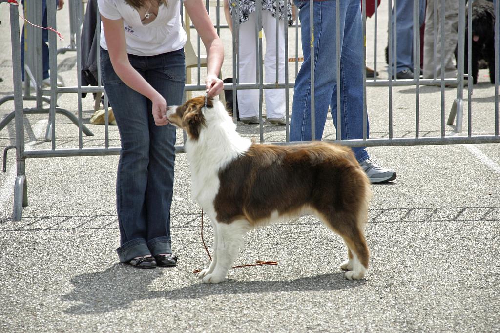 Agen_2008_205.JPG