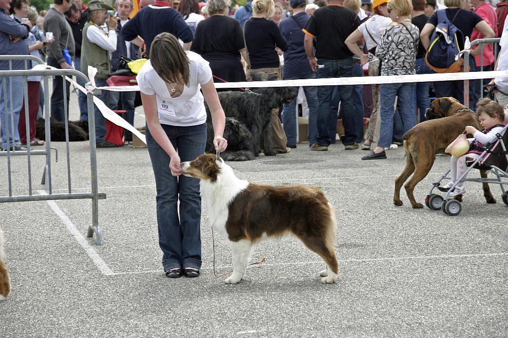 Agen_2008_219.JPG