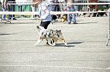 Agen_2008_003