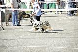 Agen_2008_004