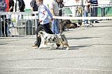 Agen_2008_005