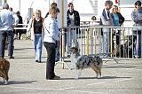 Agen_2008_007