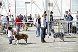 Agen_2008_008