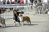 Agen_2008_010