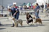 Agen_2008_011