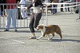 Agen_2008_015