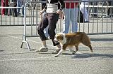 Agen_2008_016