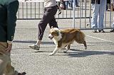 Agen_2008_017