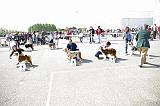 Agen_2008_018