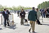 Agen_2008_026