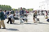 Agen_2008_027