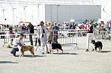 Agen_2008_028