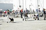 Agen_2008_029
