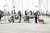 Agen_2008_030
