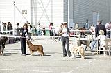 Agen_2008_031